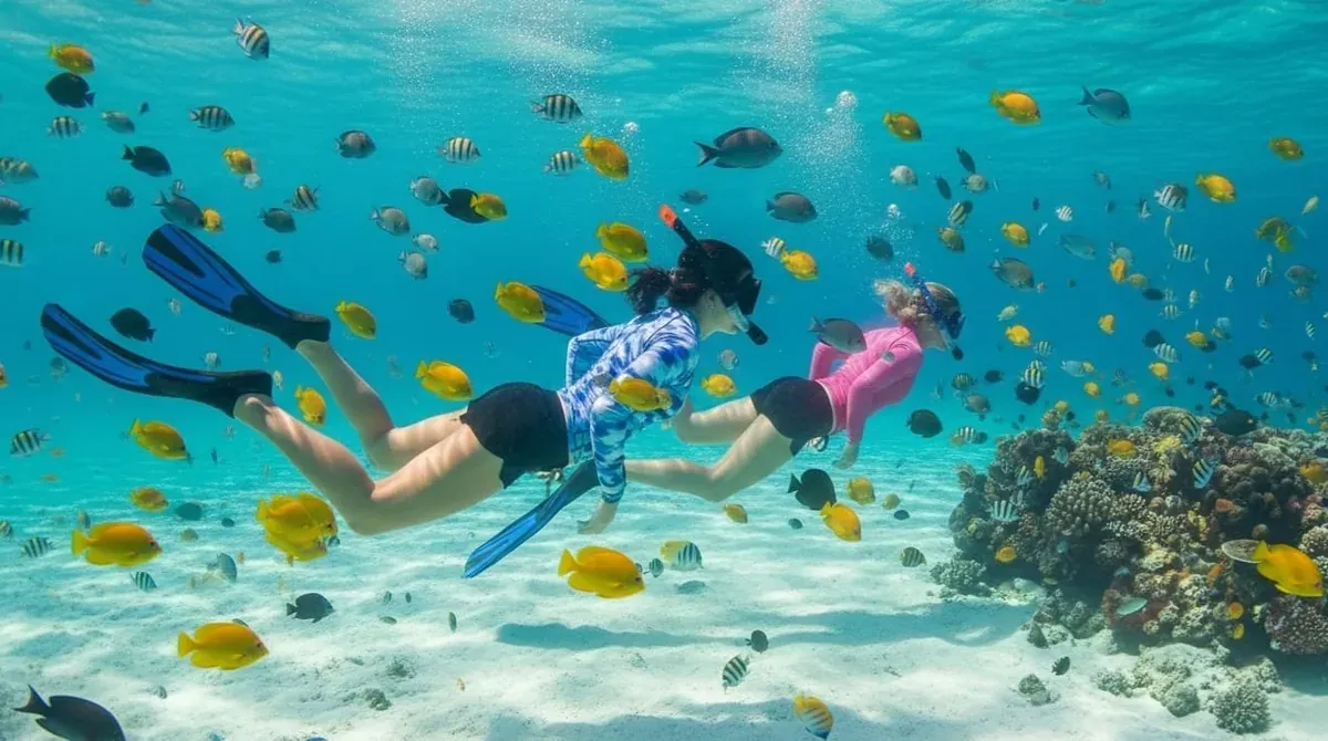 Snorkeling tour in Bali